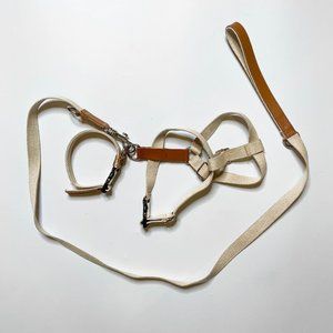 Zara Beige Leash, Collar, and Harness Bundle
